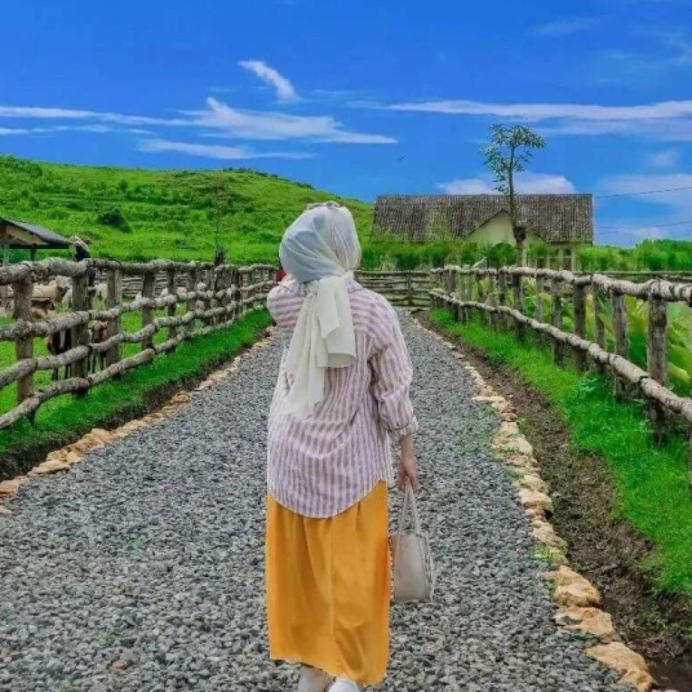 Wisata-hits-Purwokerto-Menggala-Ranch-750x536